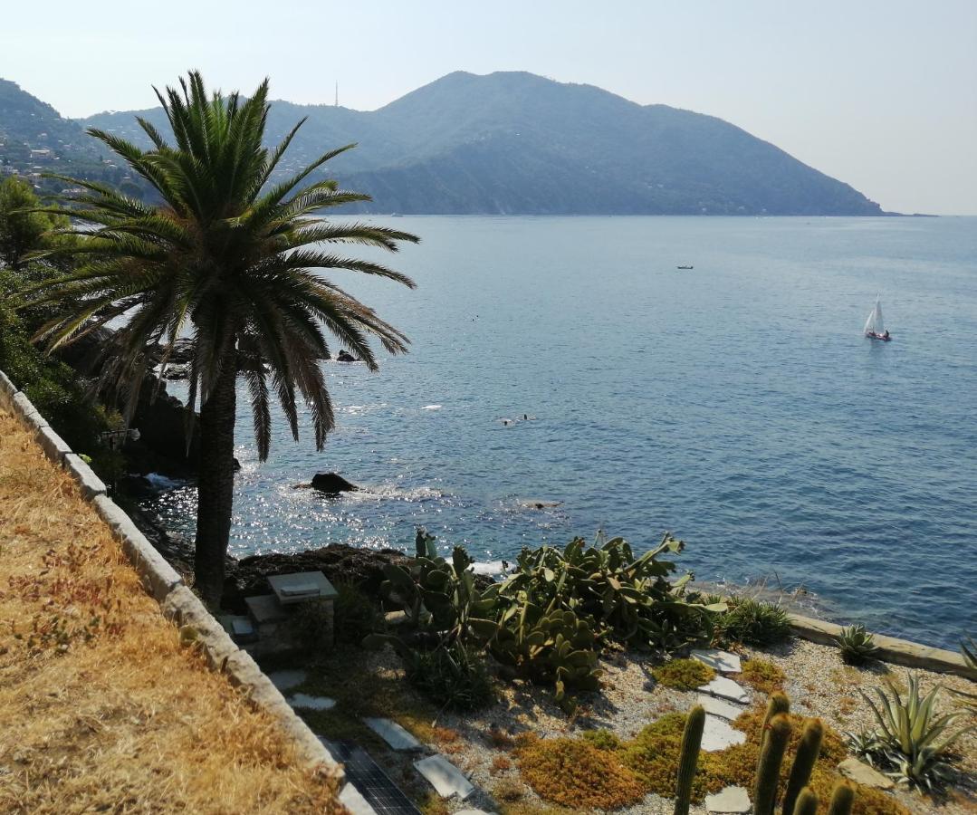 Il Grecale Apartamento Recco Exterior foto